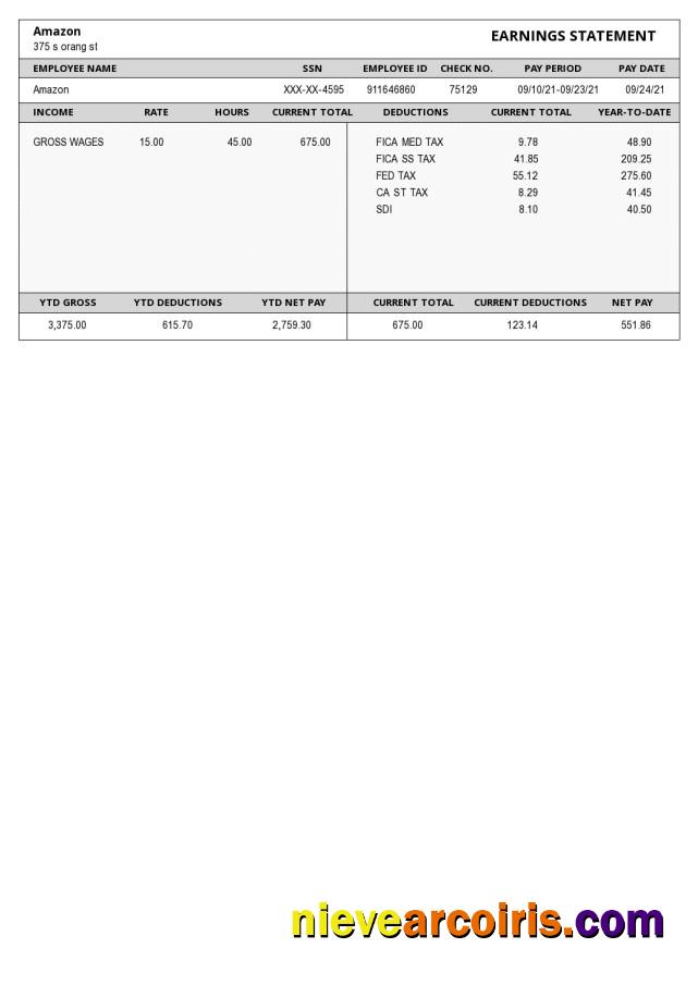 Amazon Paystub
